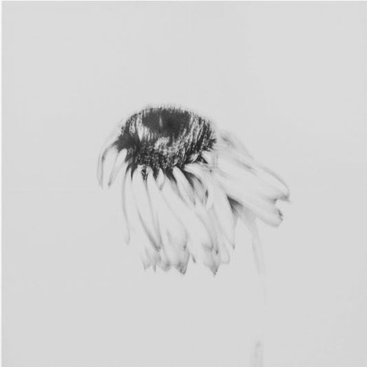 Moody flower | Canvas