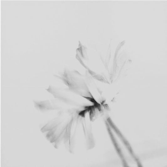 Moody flower 2 | Canvas