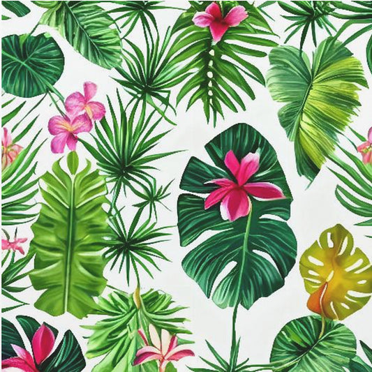 The Tropic | Poster
