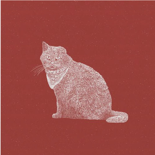 Badass Bandit Cat | Canvas