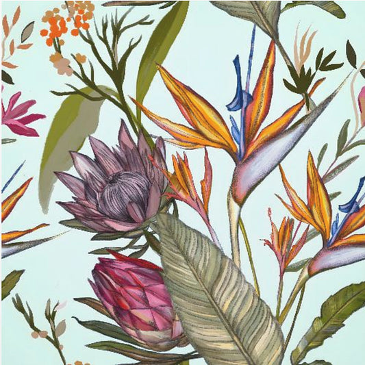 Proteas and Iris | Poster