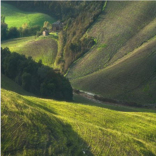 Crete Senses/Tuscany | Poster