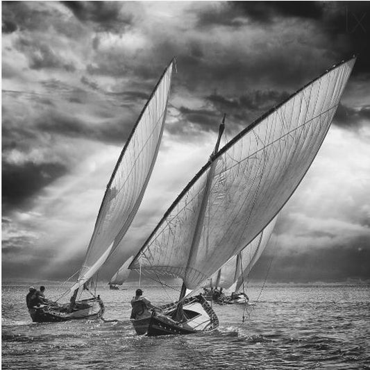 Sailboats and Light | Canvas
