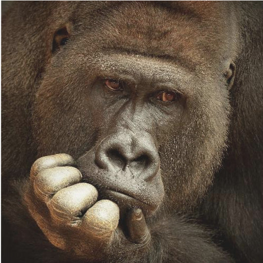 SENSE OF LIFE ... | Poster