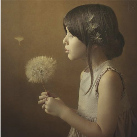 A Dandelion Poem | Canvas