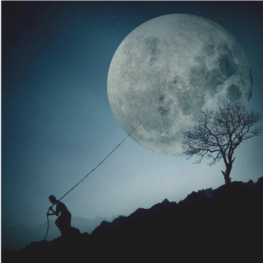 the Dreamer | Poster
