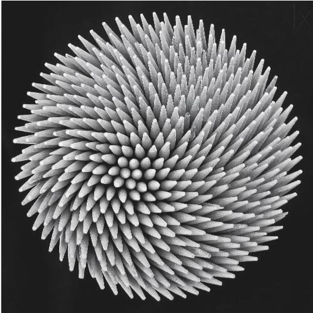 hypnosis | Canvas
