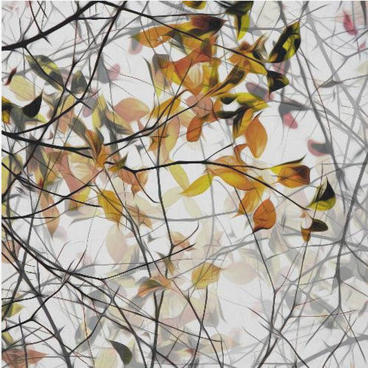 autumn song | Canvas
