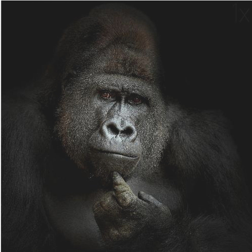 ego cogito, ergo sum | Poster